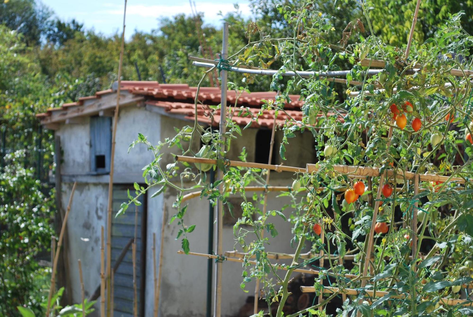 Casa S.Maria Apartment Levane Екстериор снимка